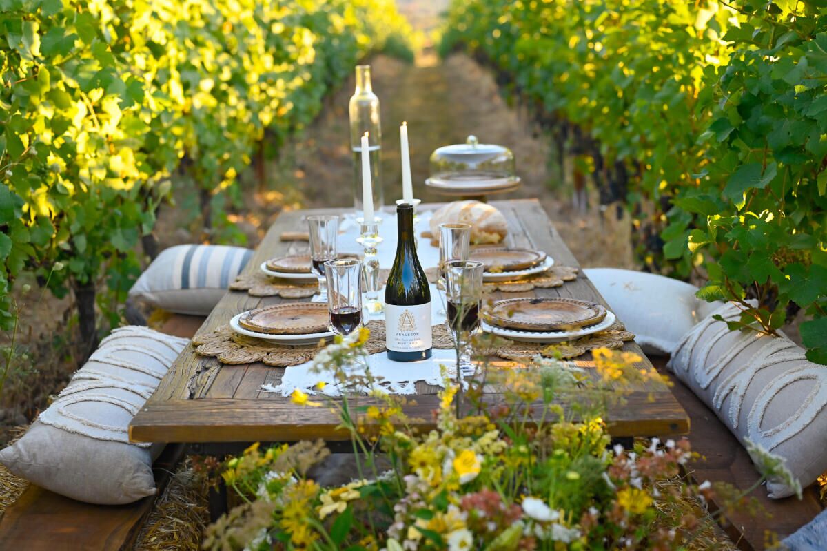 Picture of Wine Tasting In Newberg