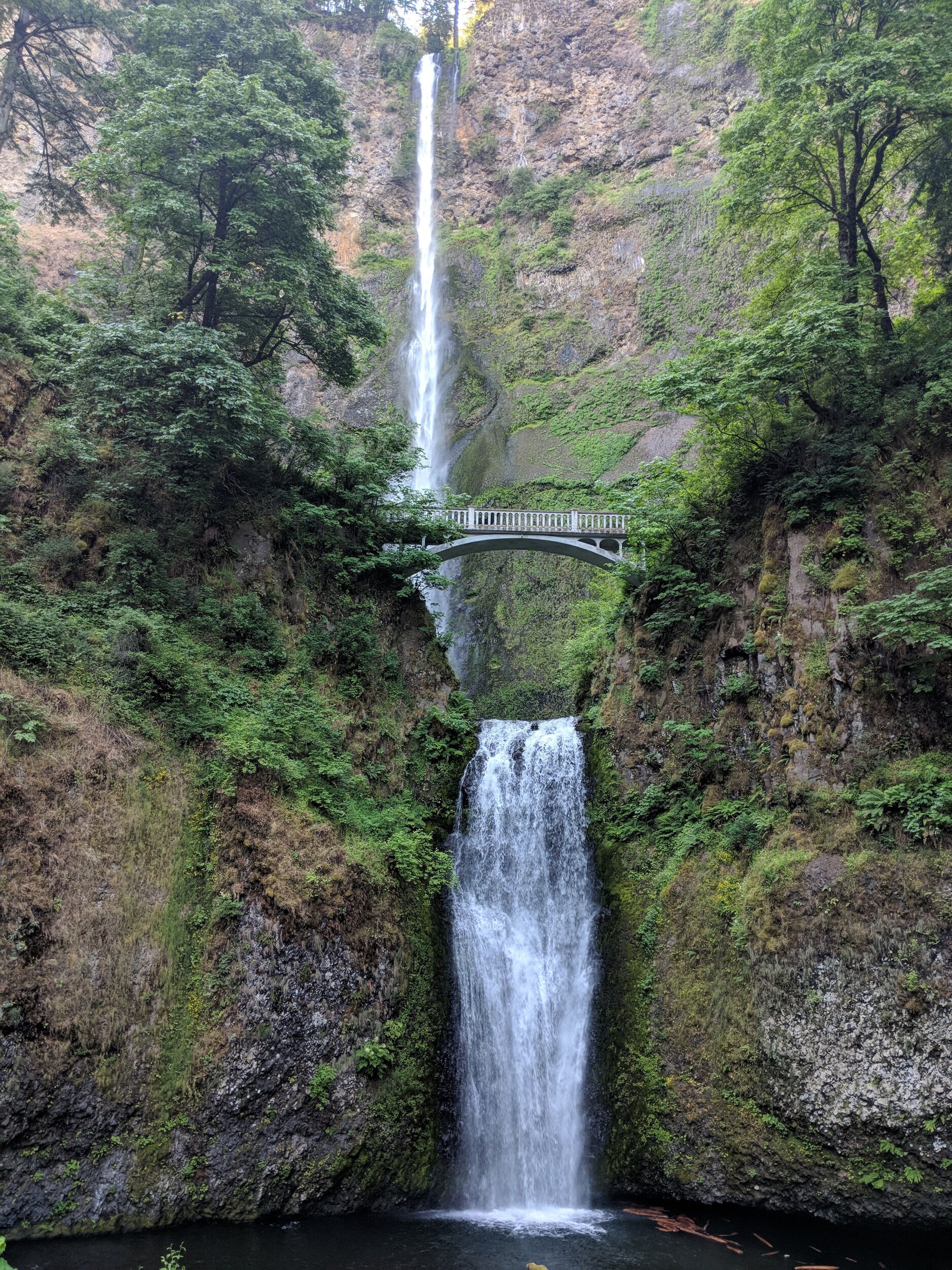 Picture of Multnomah Falls
