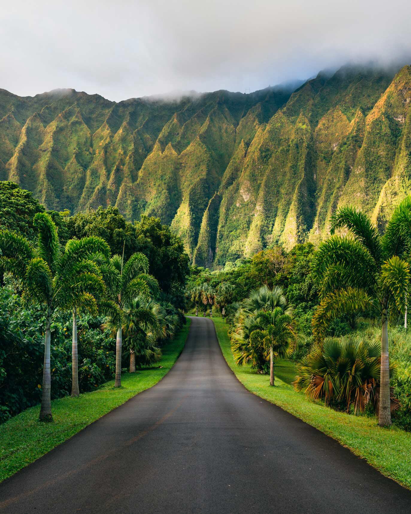 Picture of Ho'omaluhia Botanical Garden