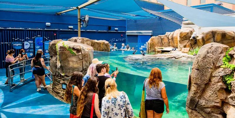 Picture of Birch Aquarium at Scripps