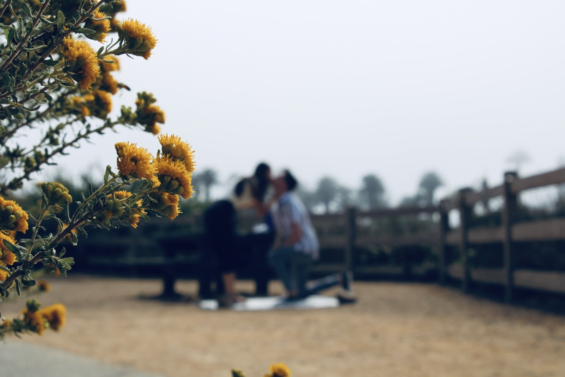 Jenelle & Jake Home Page Banner