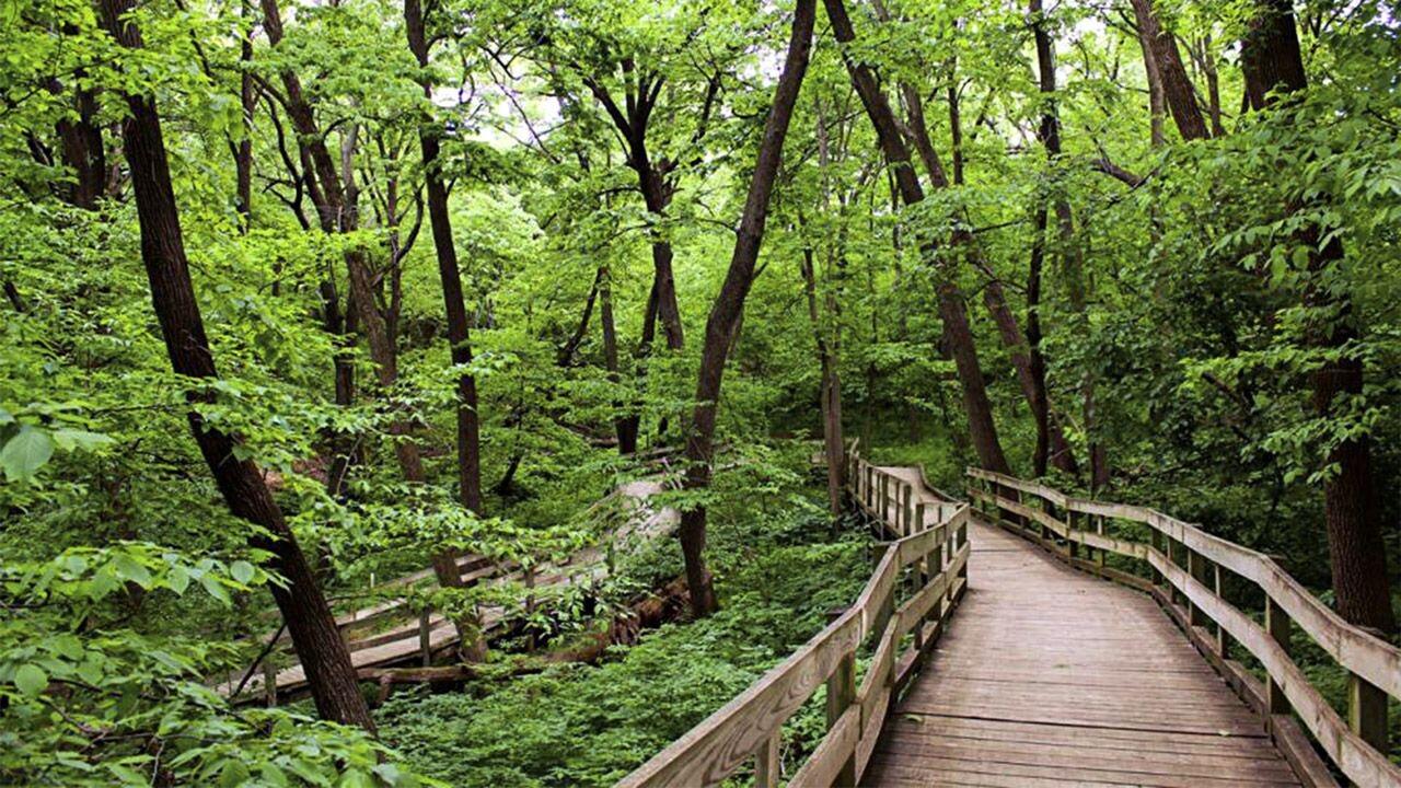 Picture of Fontenelle Forest
