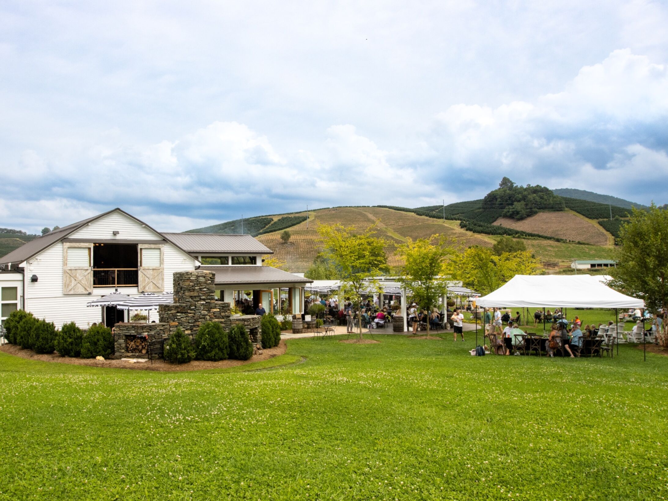 Picture of Old Barn Winery and Vineyards