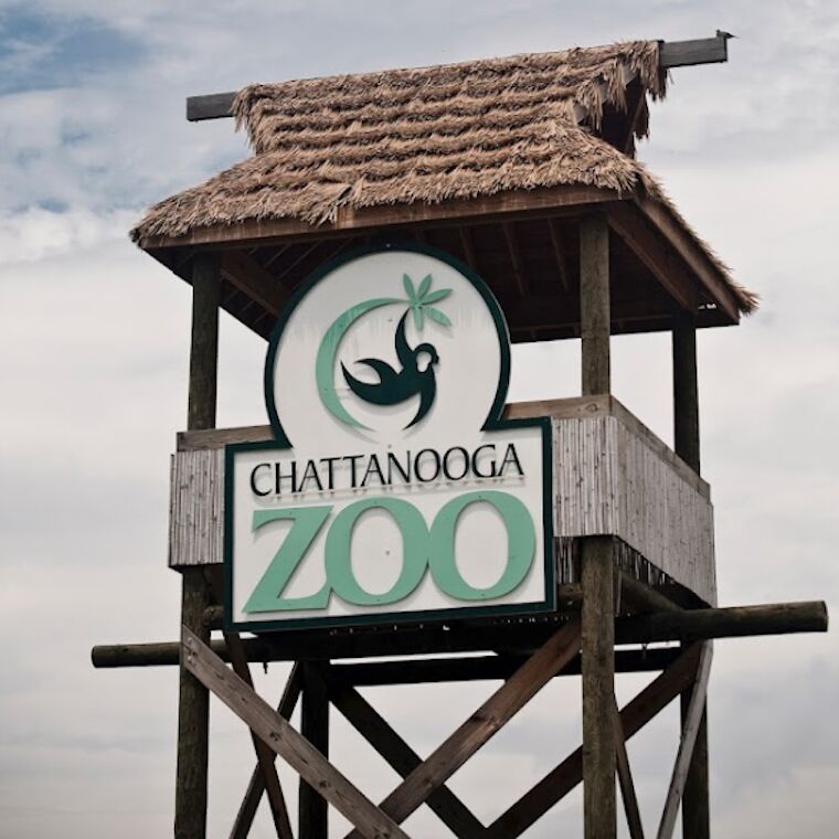 Picture of Chattanooga Zoo 