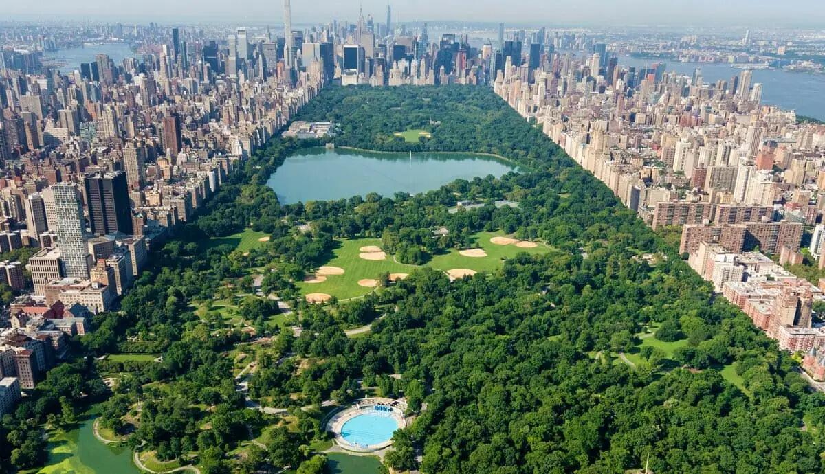 Picture of Central Park