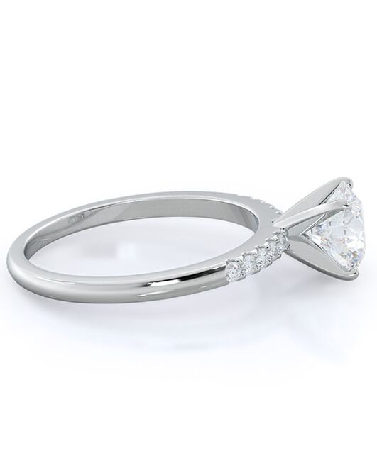 With Clarity Classic Princess, Asscher, Cushion, Emerald, Marquise, Pear, Radiant, Round, Oval Cut Engagement Ring - 2