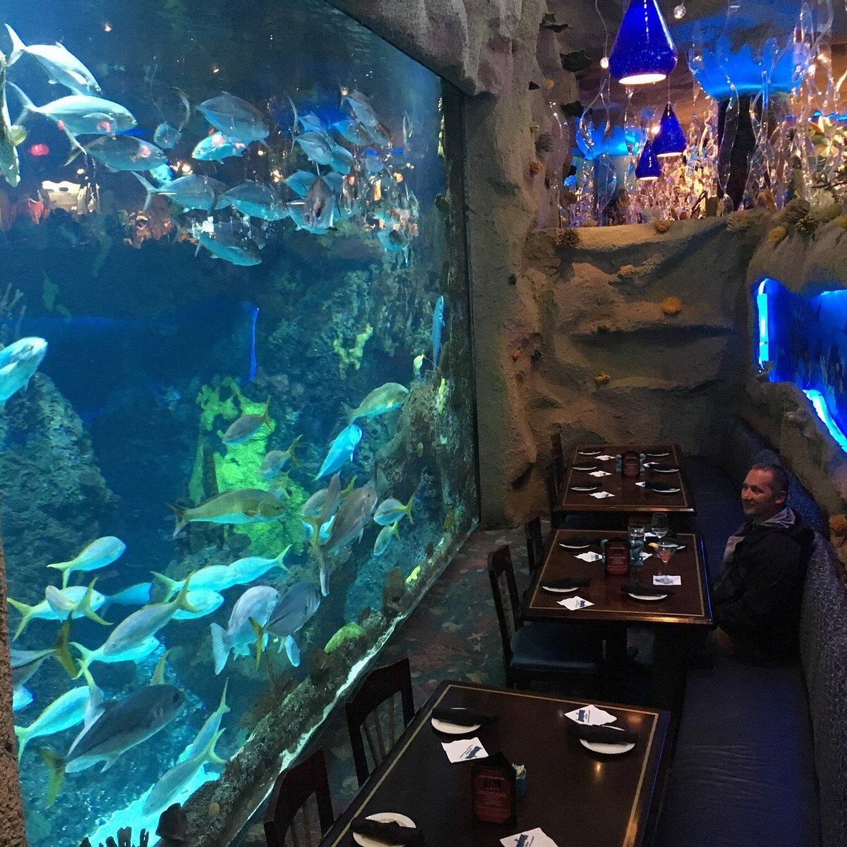 Picture of Downtown Aquarium