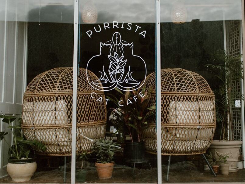 Picture of Coffee Shops