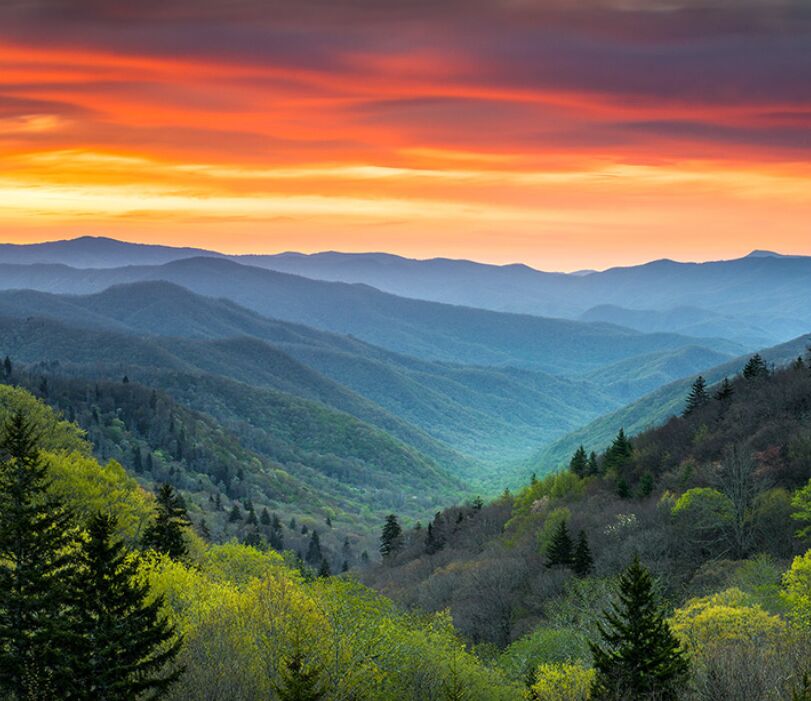 Picture of Hiking at Great Smoky Mountains National Park