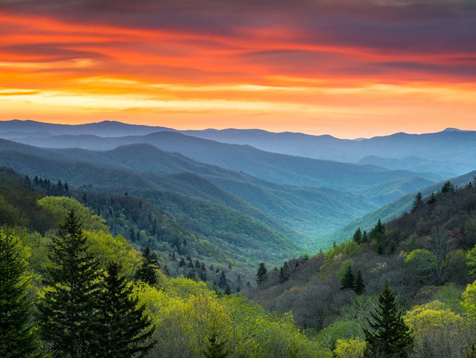 Picture of Hiking at Great Smoky Mountains National Park