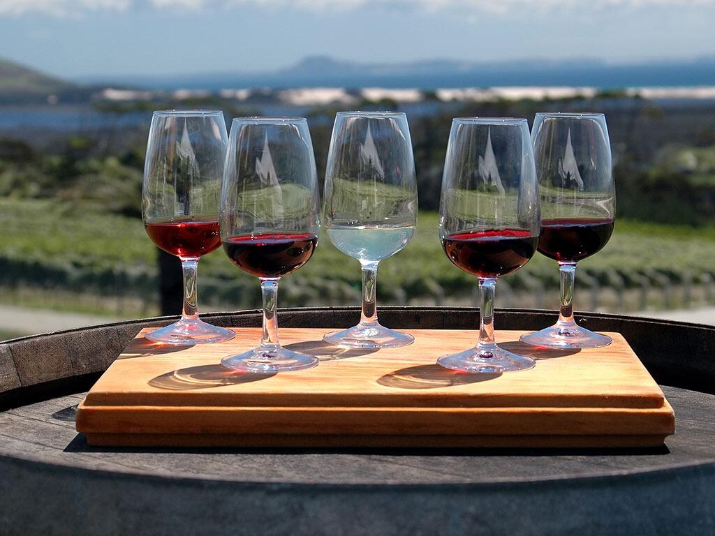 Picture of Wine Tours in Woodinville
