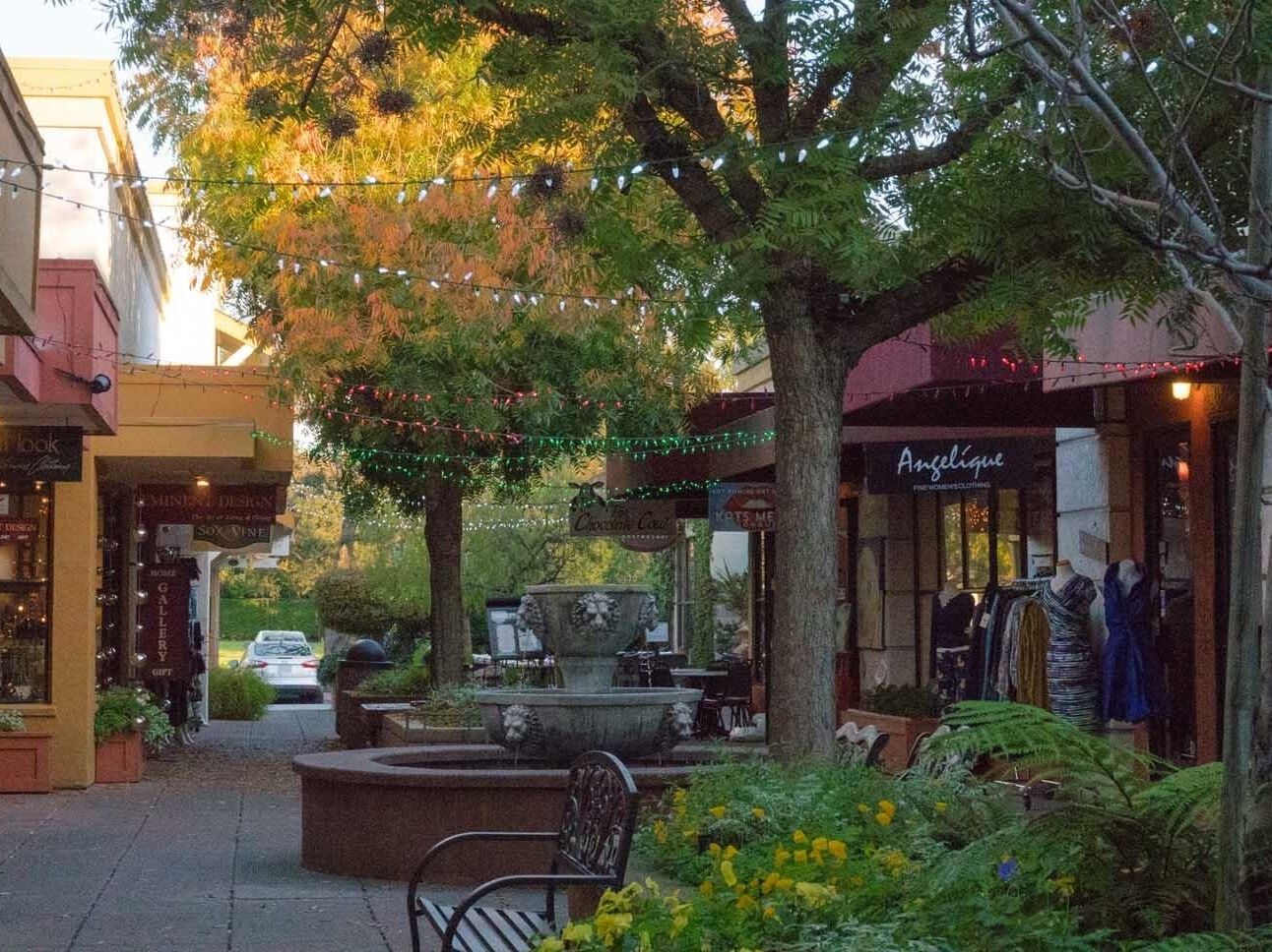 Picture of Shopping 