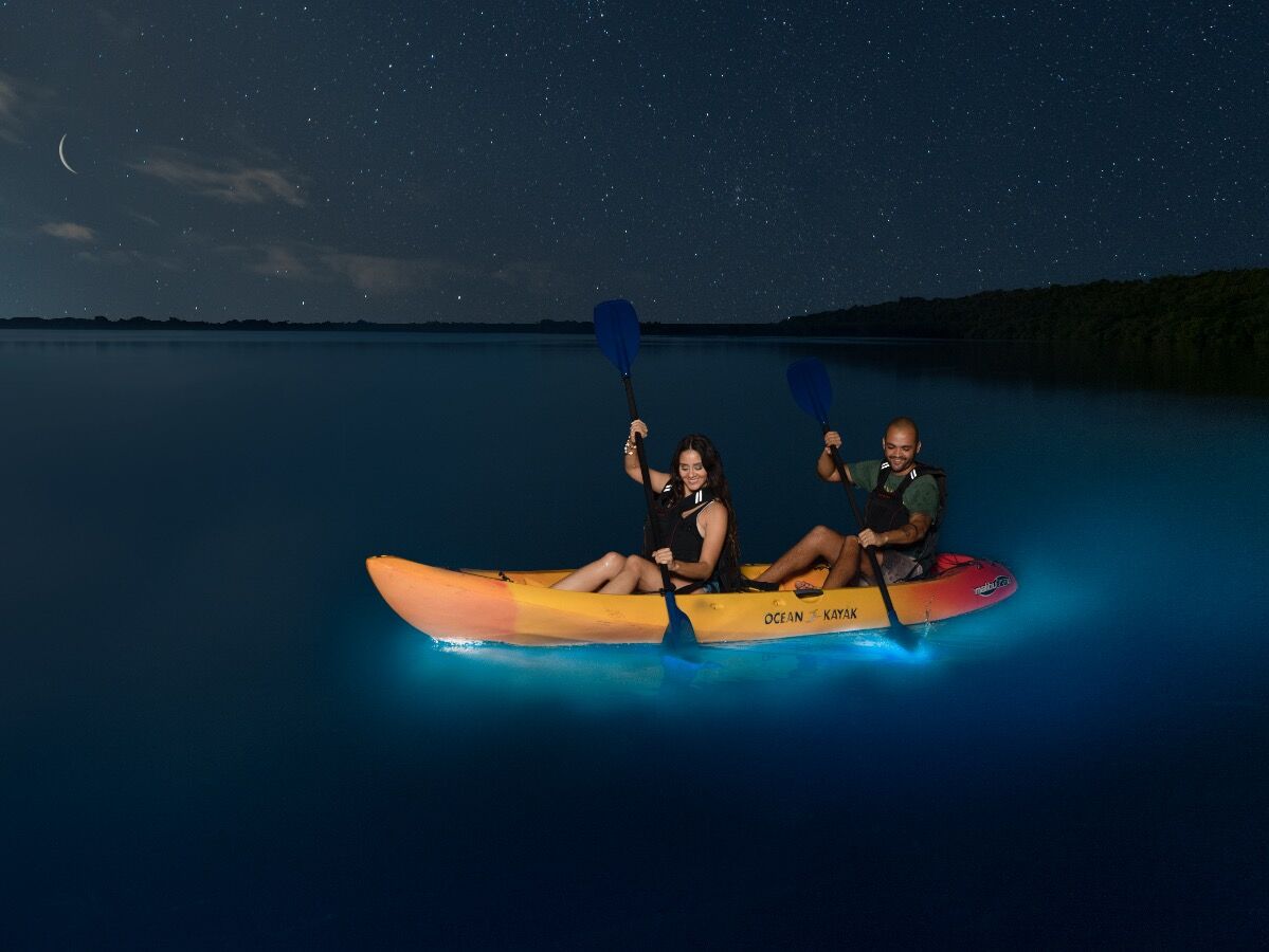 Picture of Parguera Water Sports Adventures & Bioluminescent Bay Tour Boat-Kayak-Swim