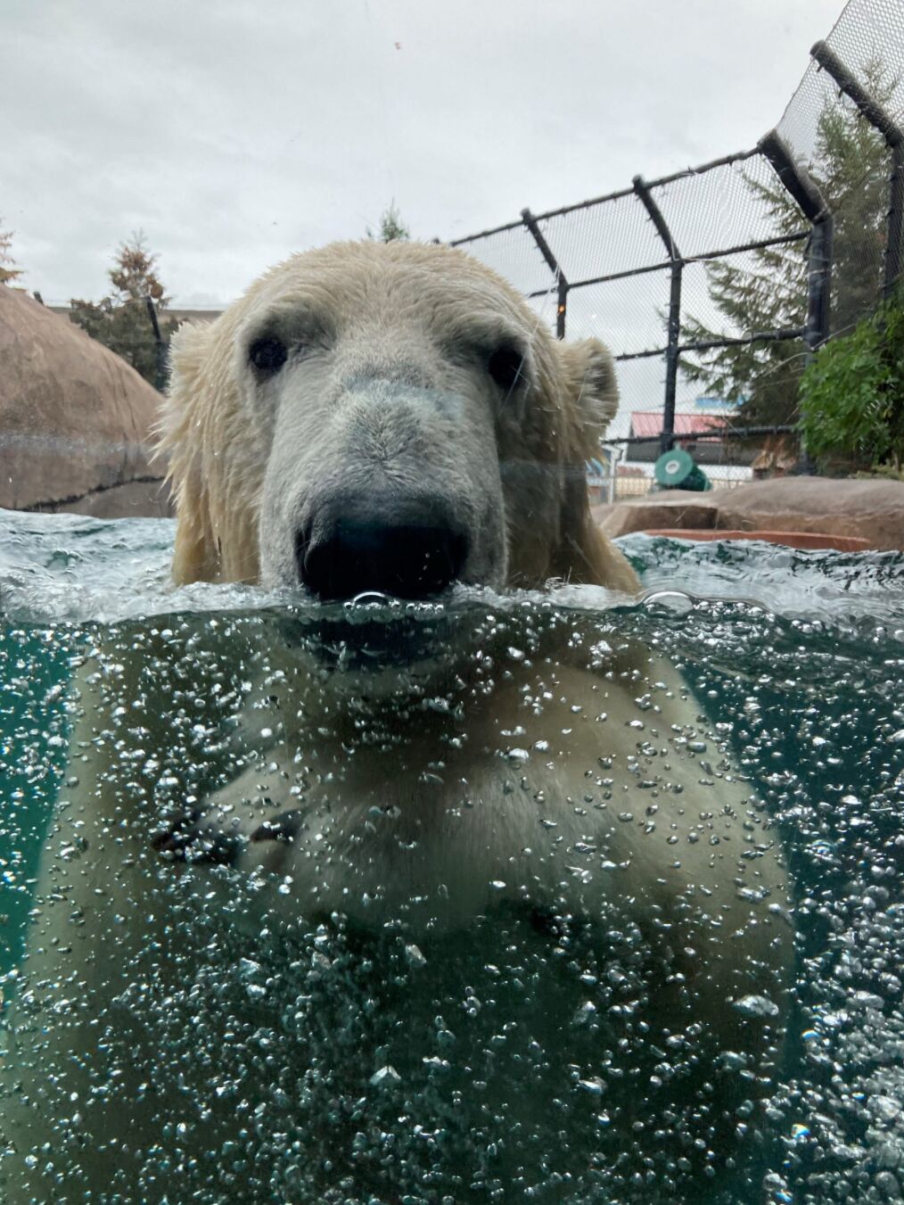 Picture of Como Park Zoo & Conservatory Vistor Center