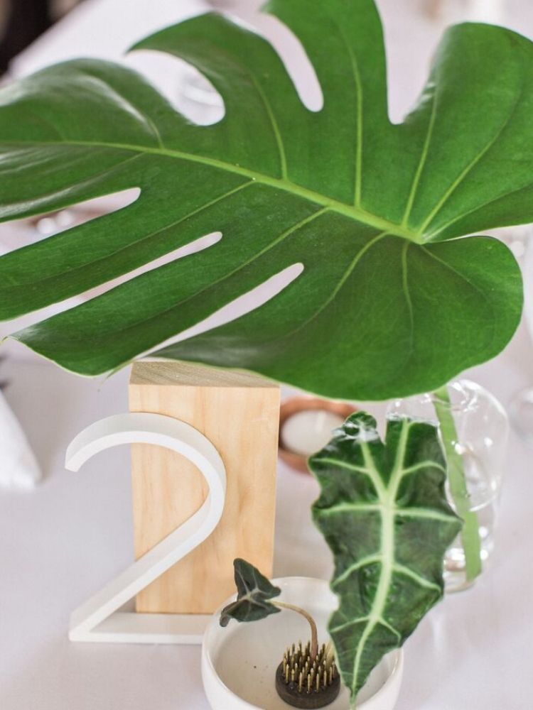 monstera leaf centerpiece