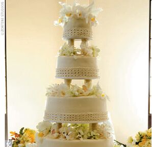 The Cake