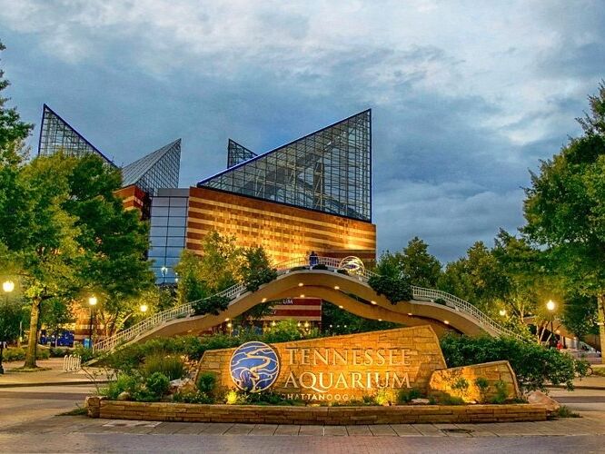 Picture of Tennessee Aquarium