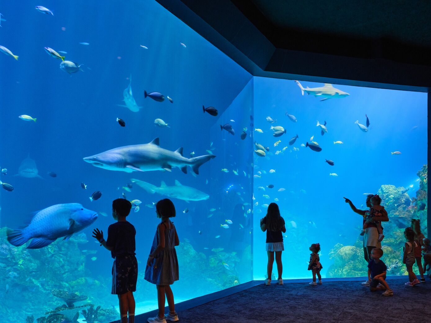 Picture of Kansas City Zoo and Aquarium