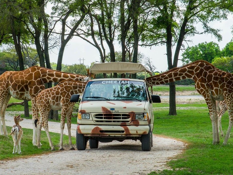 Picture of Fossil Rim Wildlife Center