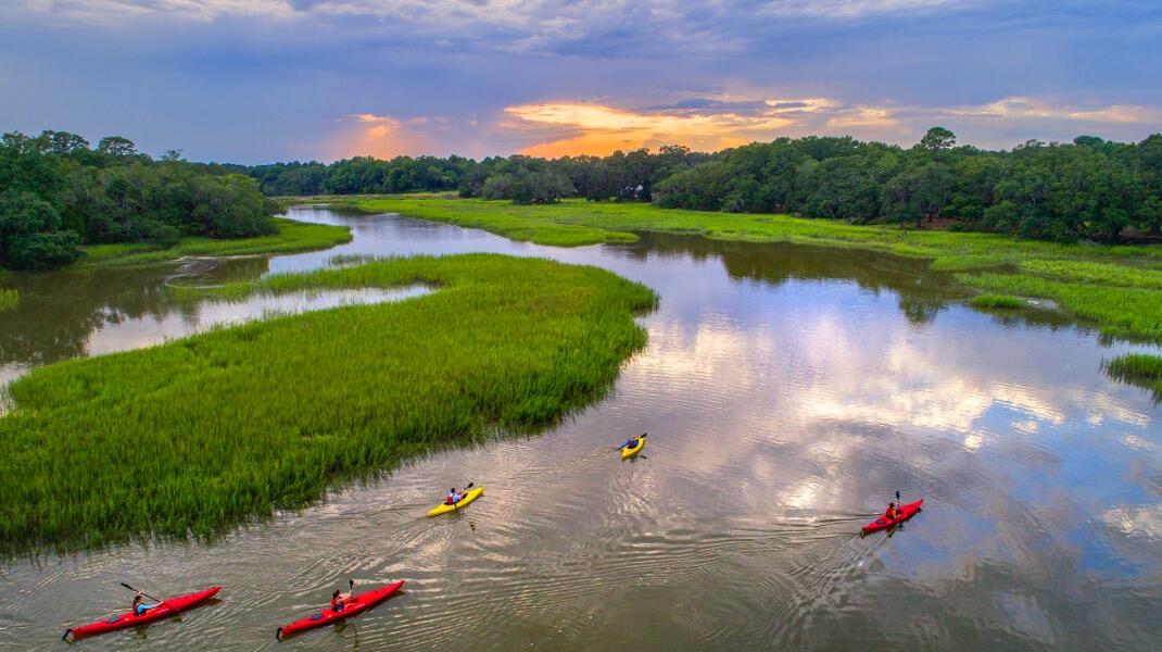 Picture of Kayak and Paddling River Tours 