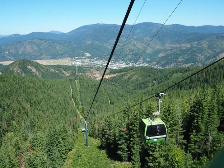Picture of Scenic Gondola Rides 