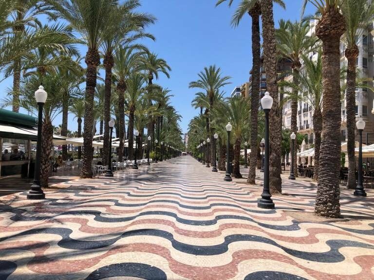 Picture of Passeig Esplanada d'Espanya,Alacant,Spanien