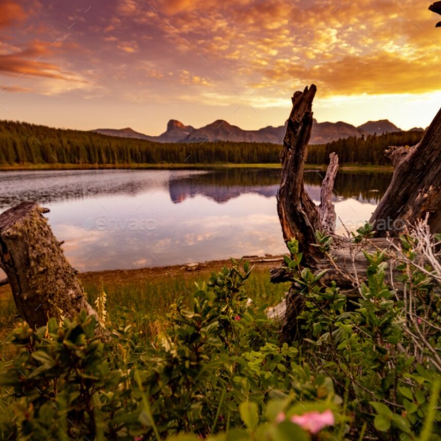 Picture of Margaret Lake Day Trip - June 7th