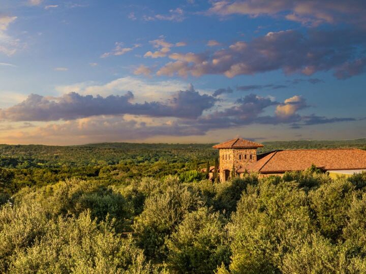 Picture of Texas Hill Country Olive Co.