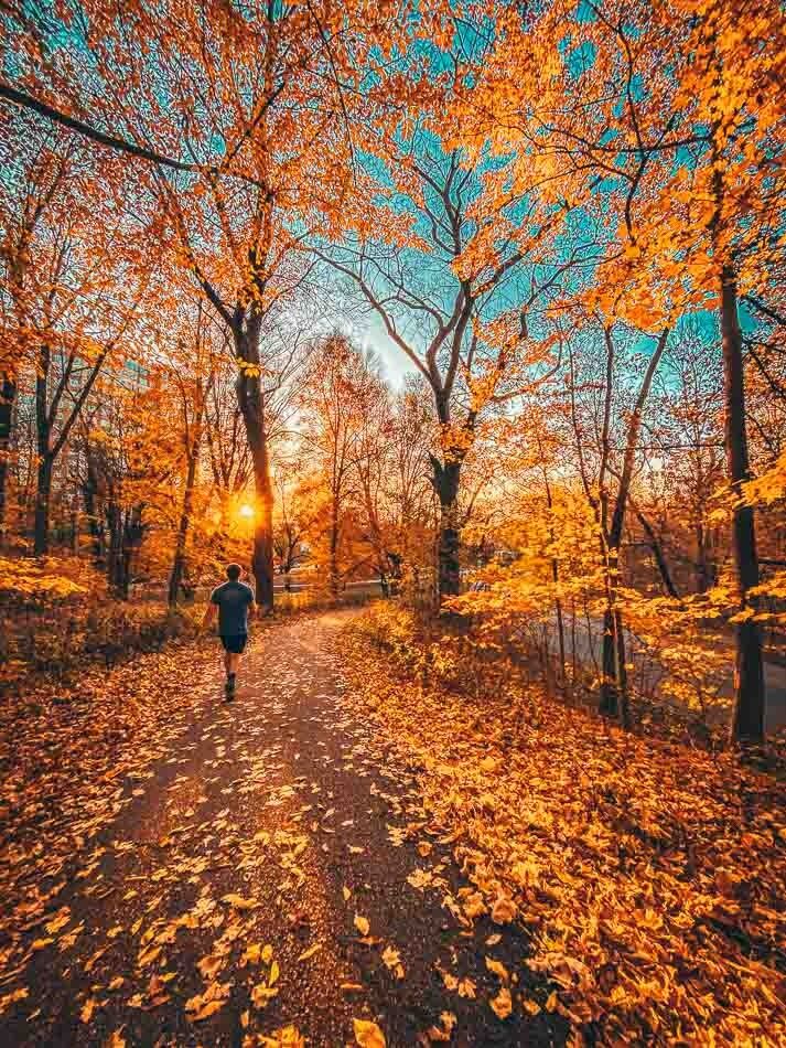 Picture of Cherokee Park