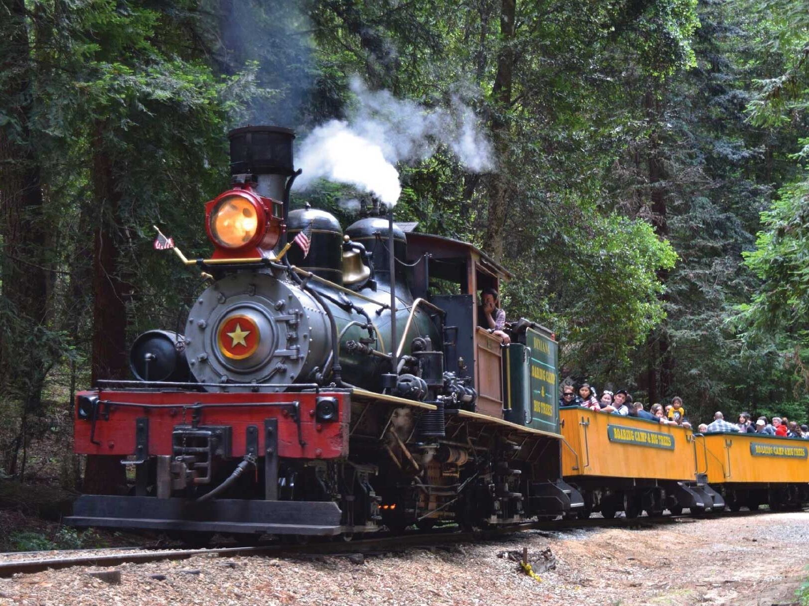 Picture of Roaring Camp