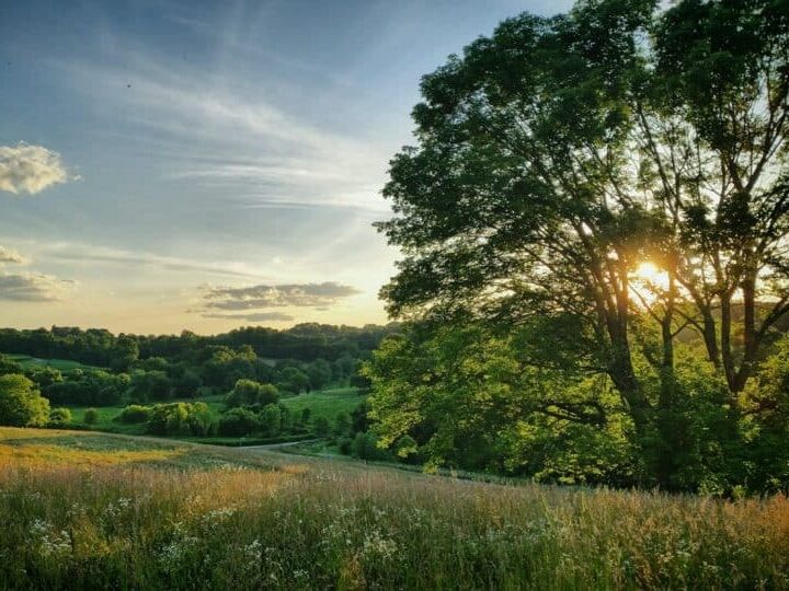 Picture of Natural Lands' Stroud Preserve