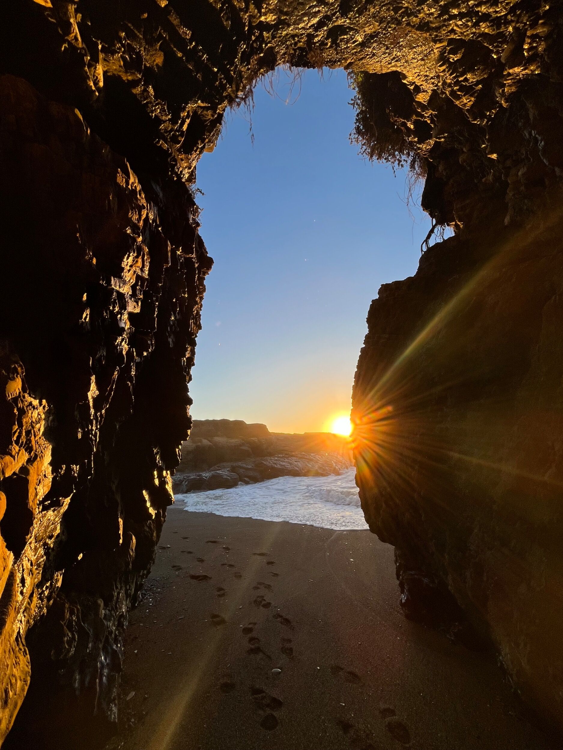 Picture of Spooner's Cove tidepools