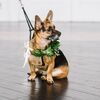 Lush Greenery Filled This Wedding at the Down Town Club in Philadelphia, Pennsylvania