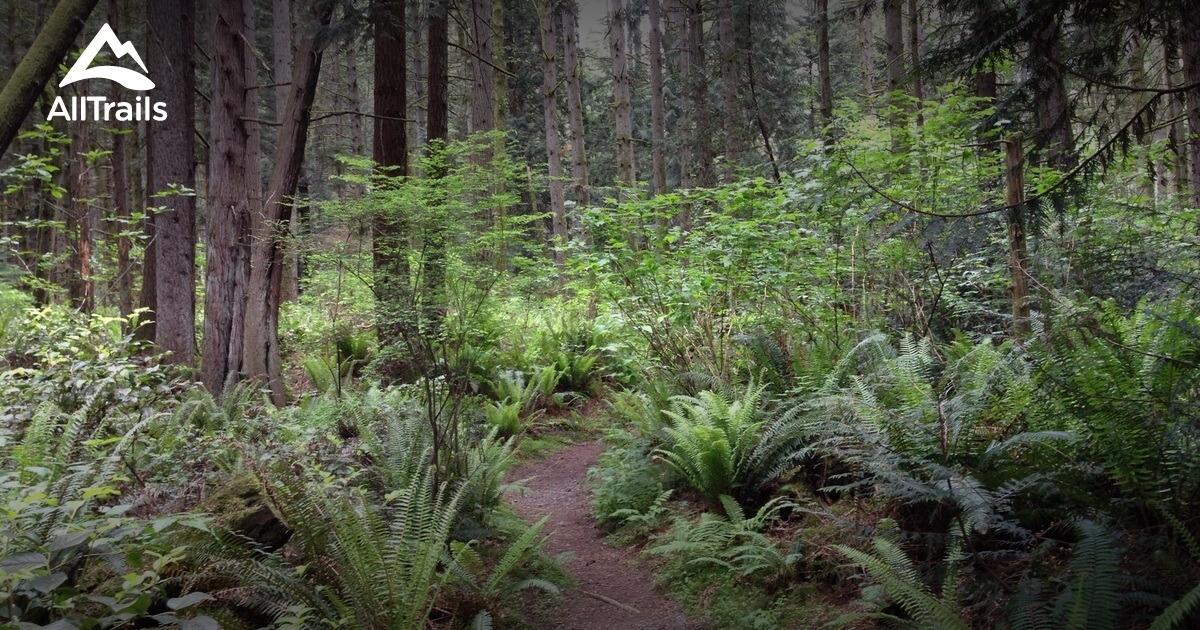 Picture of Bridle Trails State Park