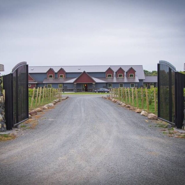 Picture of Dancing Dragonfly Winery