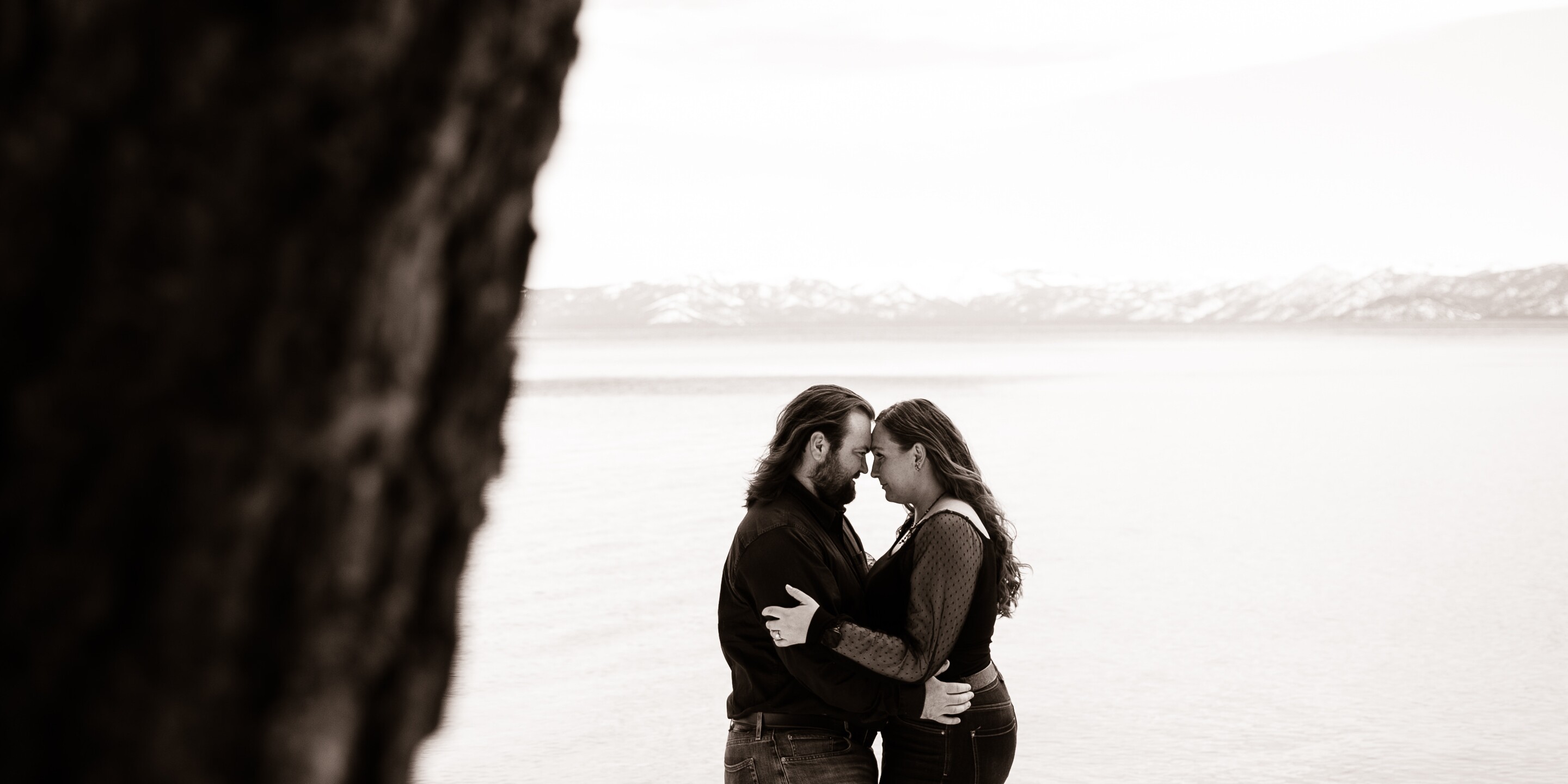Willow & Dane Home Page Banner