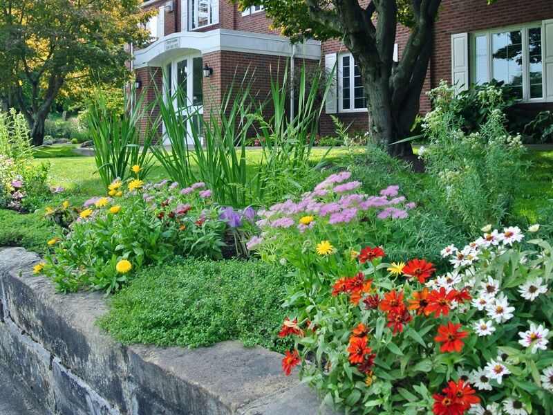 Picture of Canton Garden Center