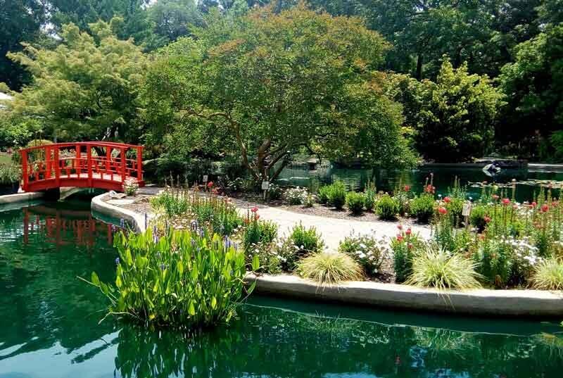 Picture of Airlie Gardens