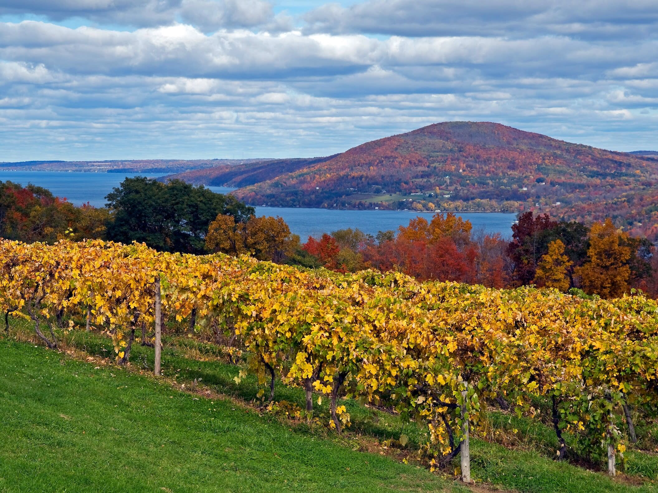 Picture of Canandaigua Lake Wine Trail