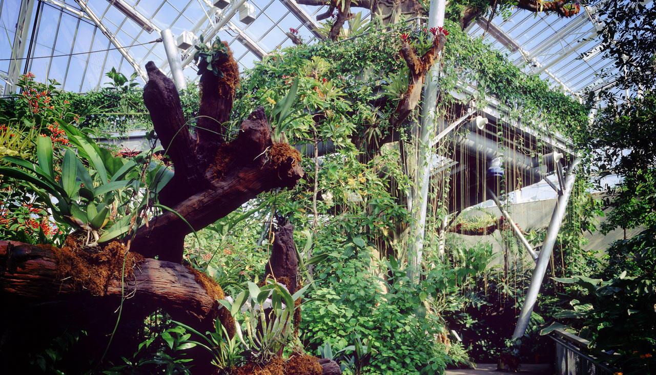 Picture of Cleveland Botanical Garden