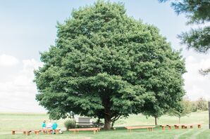 Outdoor Ceremony Under Maple Tree