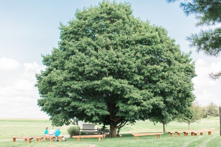 The ceremony took place under a large sugar maple tree. Guests were seated on long wooden jack benches rented from Maggpie Vintage.