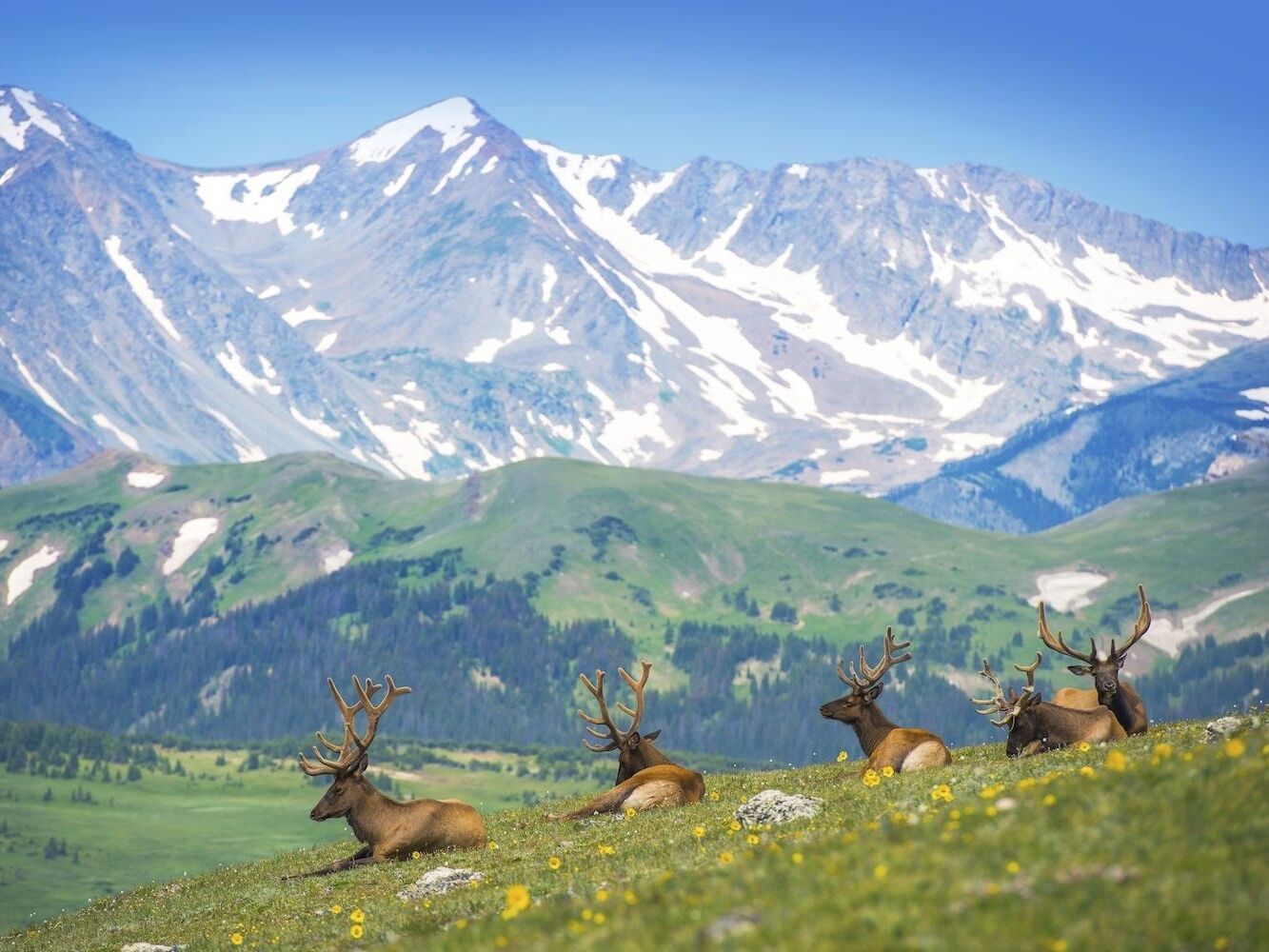 Picture of Rocky Mountain National Park