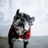 A Modern, Industrial Wedding at the Wythe Hotel in Brooklyn, New York