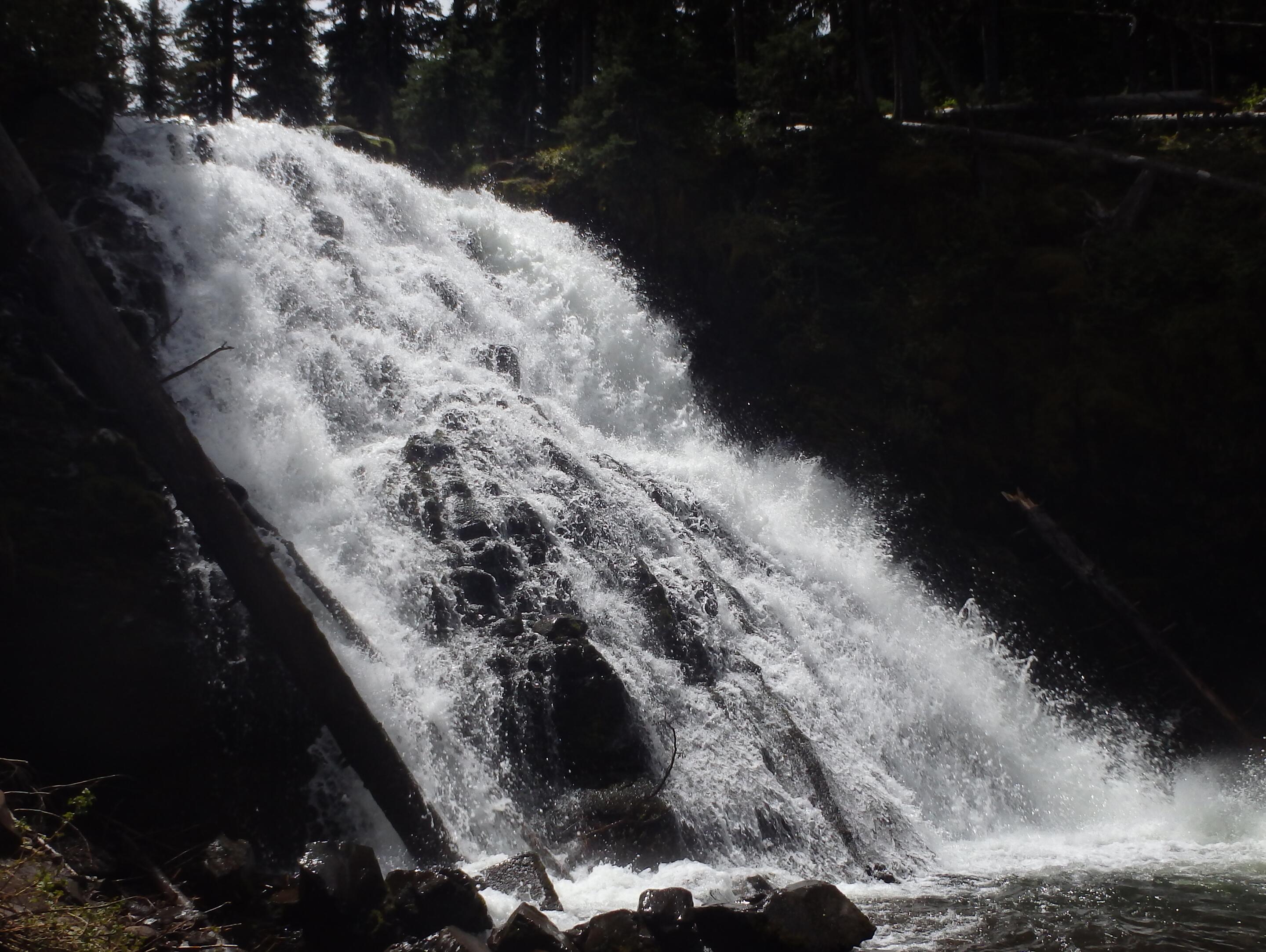 Picture of Grotto Falls Trail 