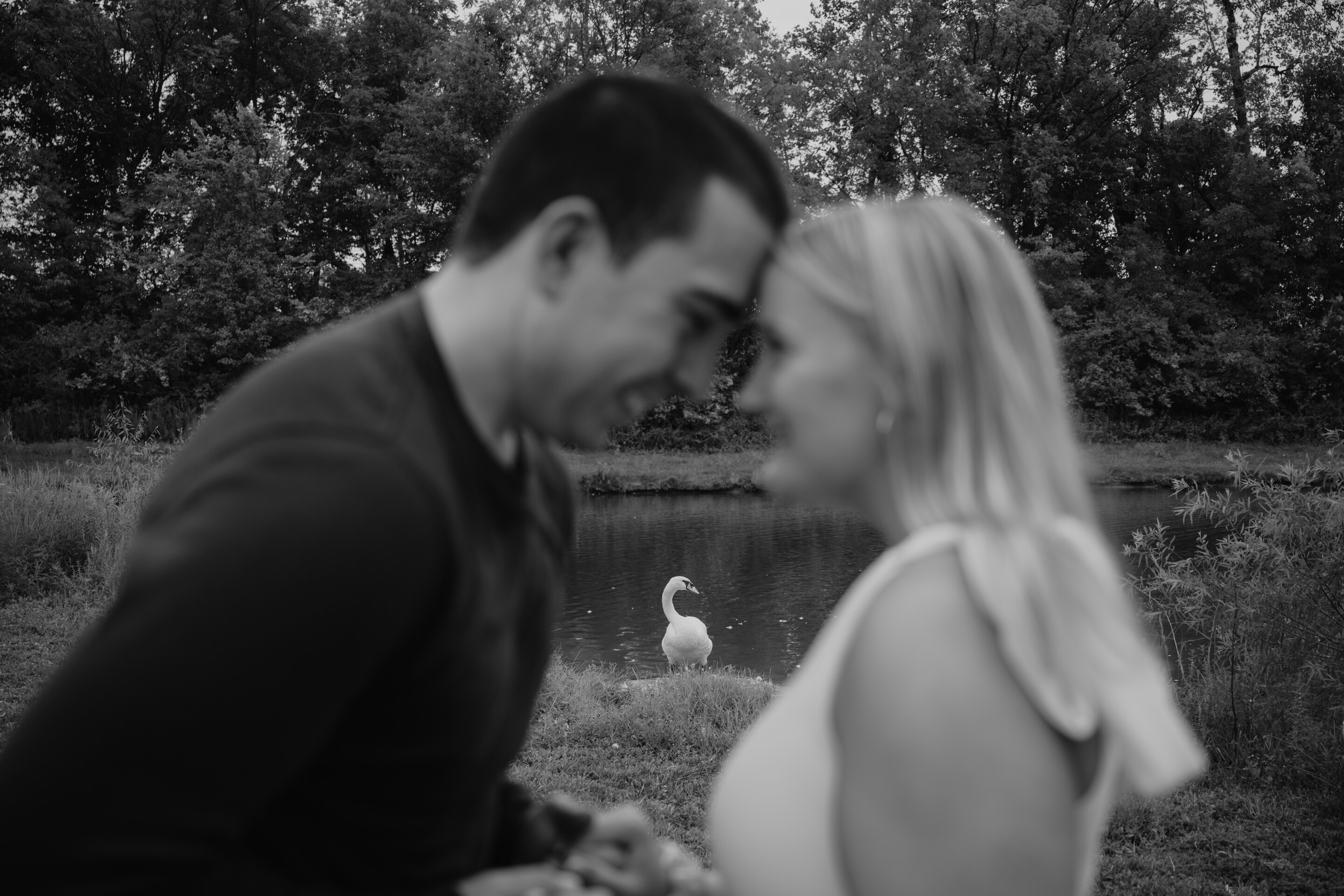 Stacey & Justin Home Page Banner