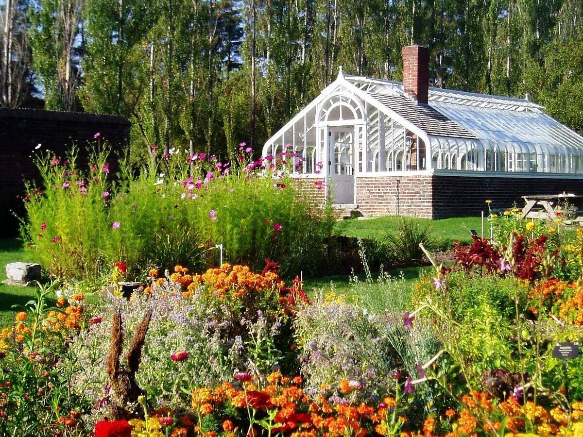 Picture of King's Garden
