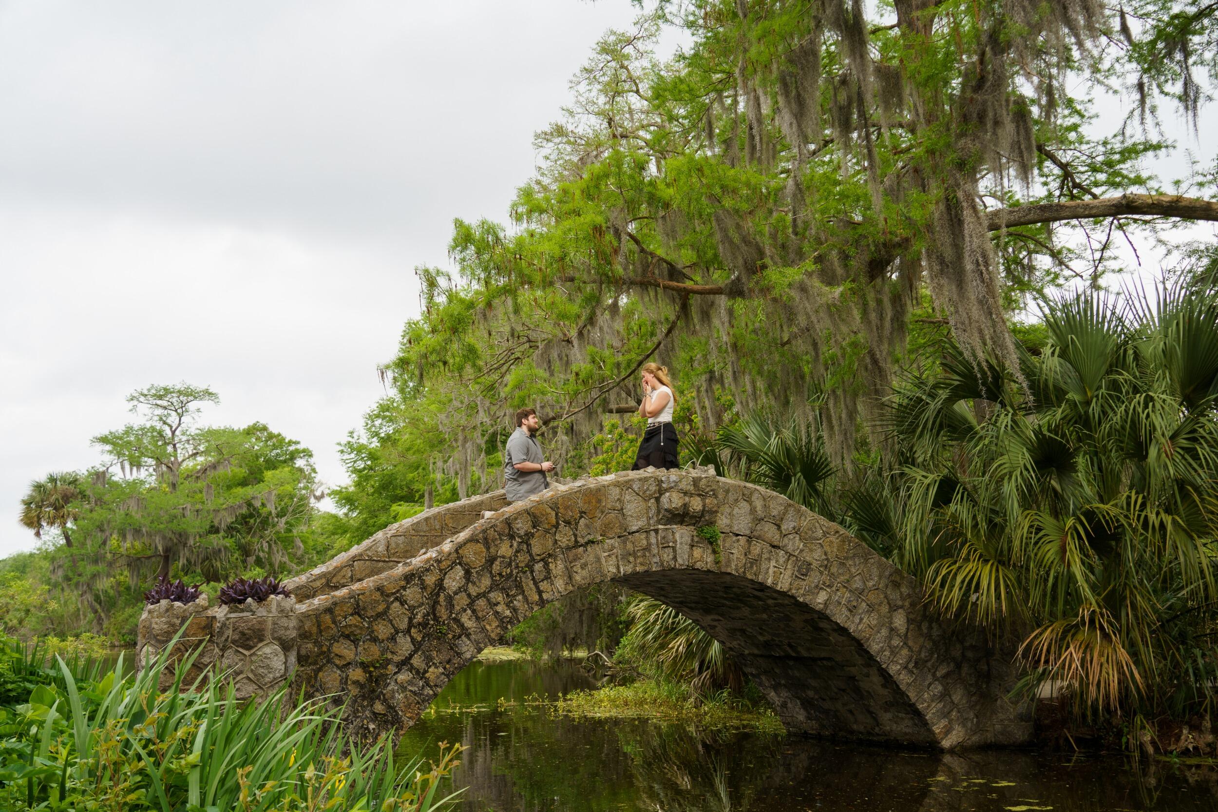 Jamison proposed!

New Orleans Botanical Garden