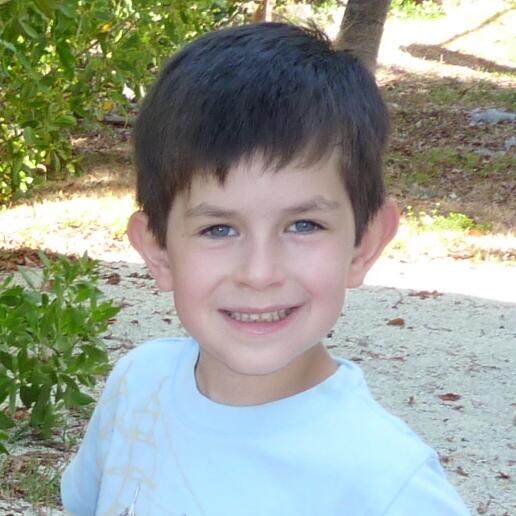Andrew Pauls