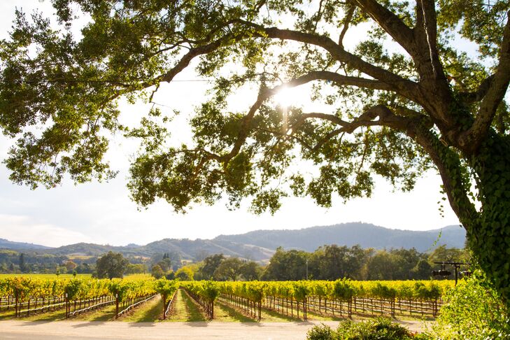 "We wanted an elegant, chic, classy wine country wedding," Renato says. "Chateau St. Jean was the first winery we visited, and we fell in love with it. Even though we visited a couple of other wineries, there was no other place we wanted our ceremony and reception to take place."